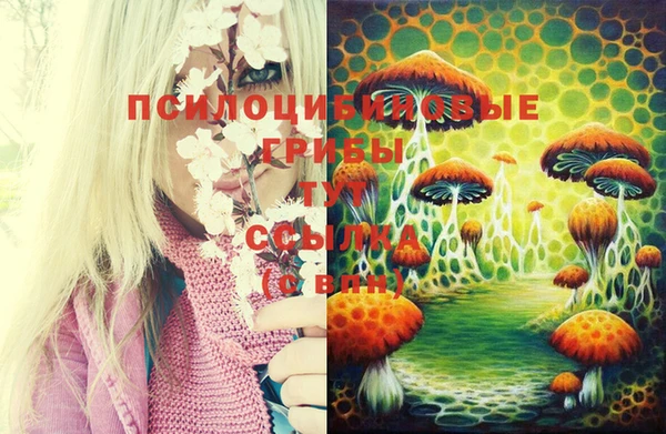 Альфа ПВП Лагань