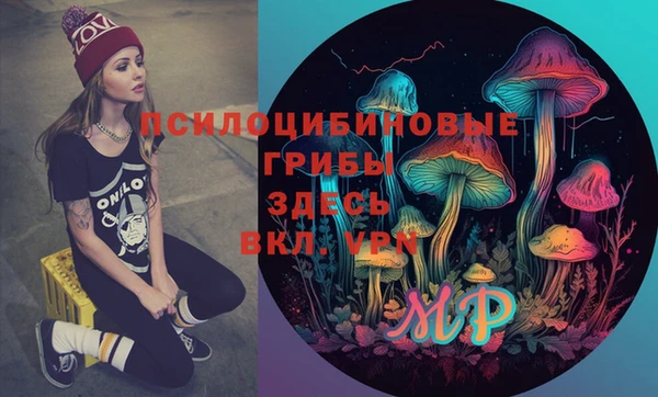 соль ск Лабытнанги