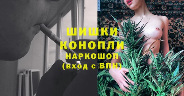 Альфа ПВП Лагань