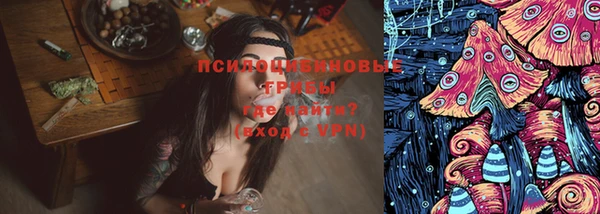 соль ск Лабытнанги