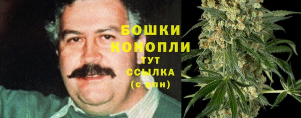 Альфа ПВП Лагань