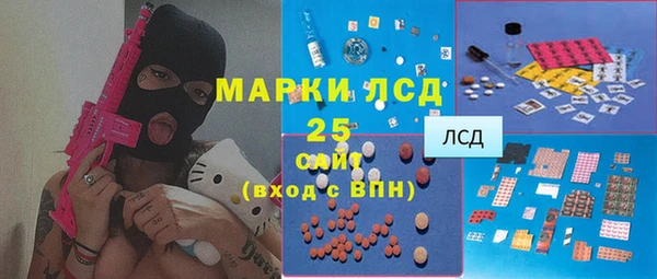 Альфа ПВП Лагань