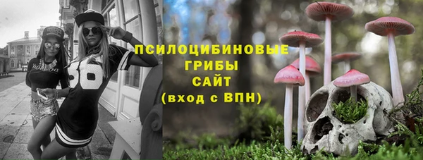 дживик Ладушкин