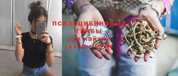 Альфа ПВП Лагань