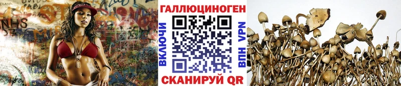 где найти   Лахденпохья  Псилоцибиновые грибы мухоморы 